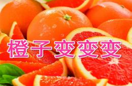 大班音樂橙子變變變PPT課件