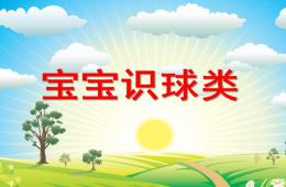 小班寶寶識球類PPT課件