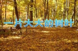 中班美術一片大大的樹葉PPT課件