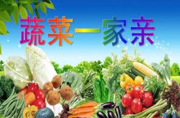中班科學蔬菜一家親PPT課件