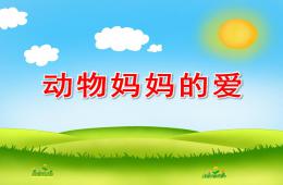 中班社會語言動物媽媽的愛PPT課件
