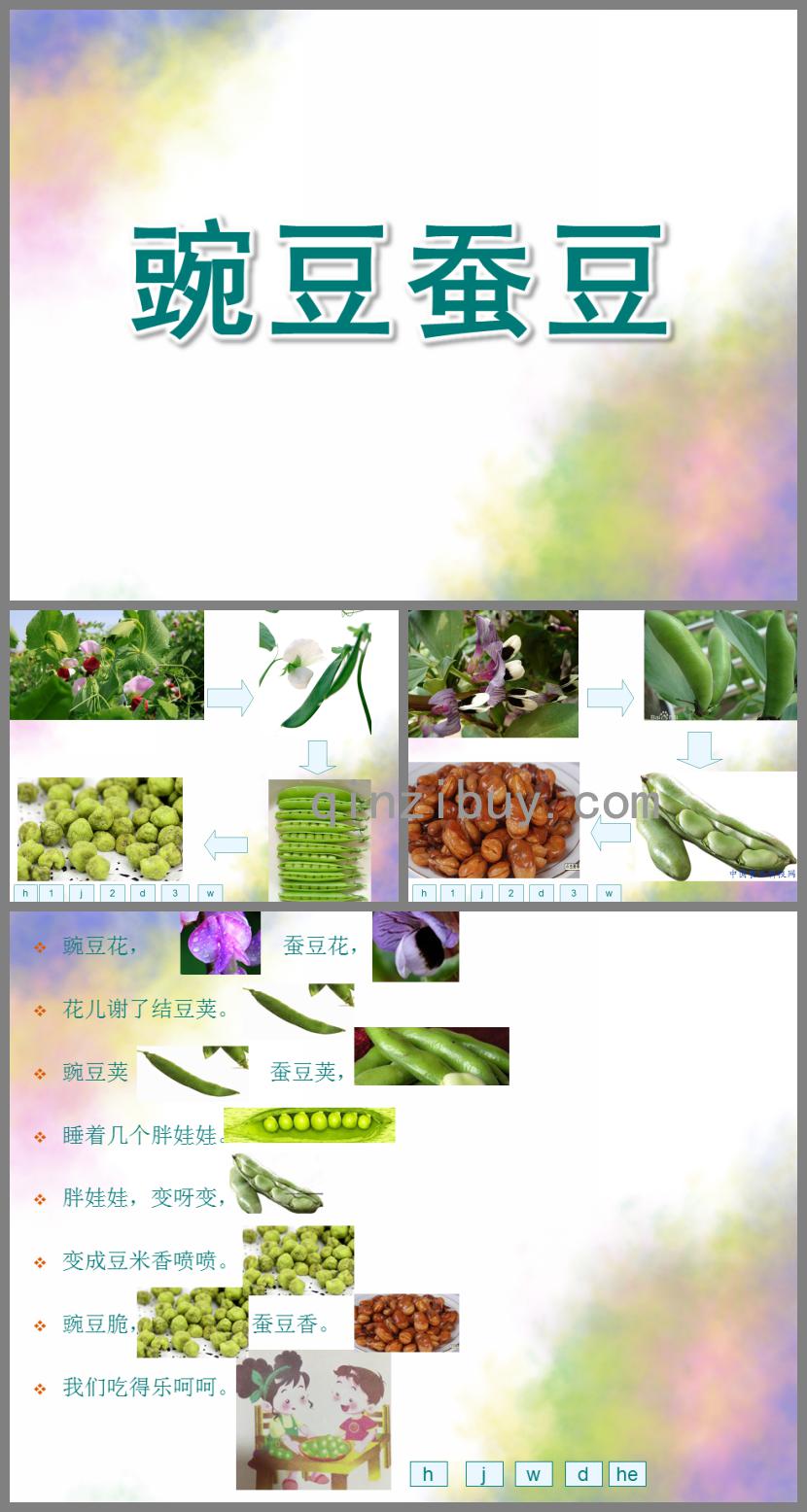 中班語言豌豆蠶豆PPT課件