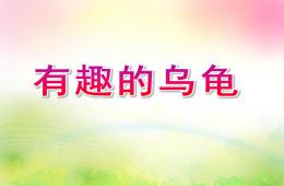 幼兒園美術(shù)有趣的烏龜PPT課件