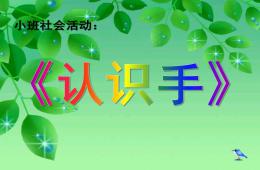 小班社會(huì)認(rèn)識(shí)手PPT課件