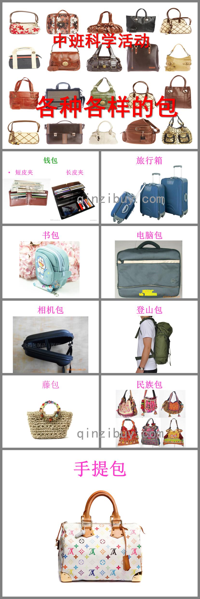 中班科學各種各樣的包PPT課件