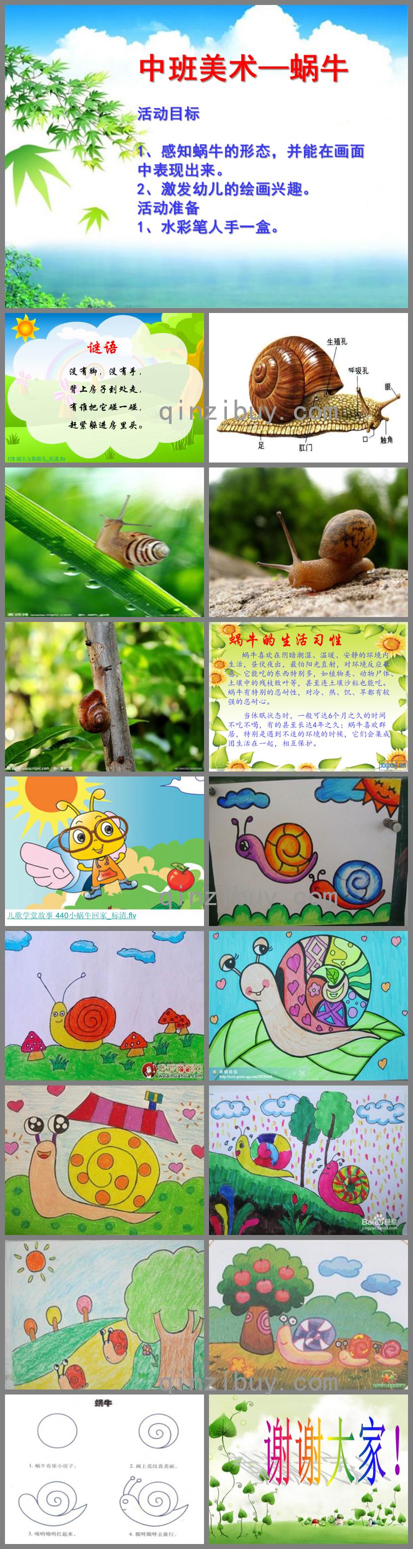 中班美術(shù)蝸牛PPT課件