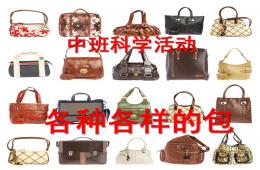 中班科學各種各樣的包PPT課件