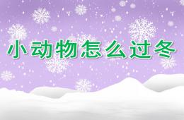 大班科學小動物怎么過冬PPT課件