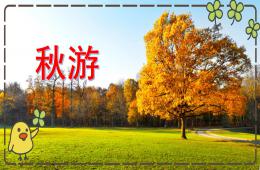 中班故事秋游PPT課件
