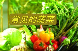 幼兒園健康教育常見的蔬菜PPT課件