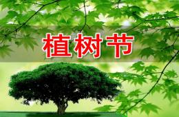 幼兒園植樹節PPT課件