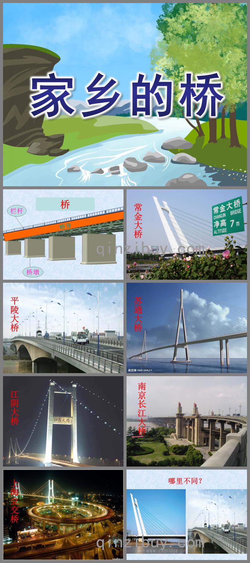 中班科學家鄉的橋PPT課件