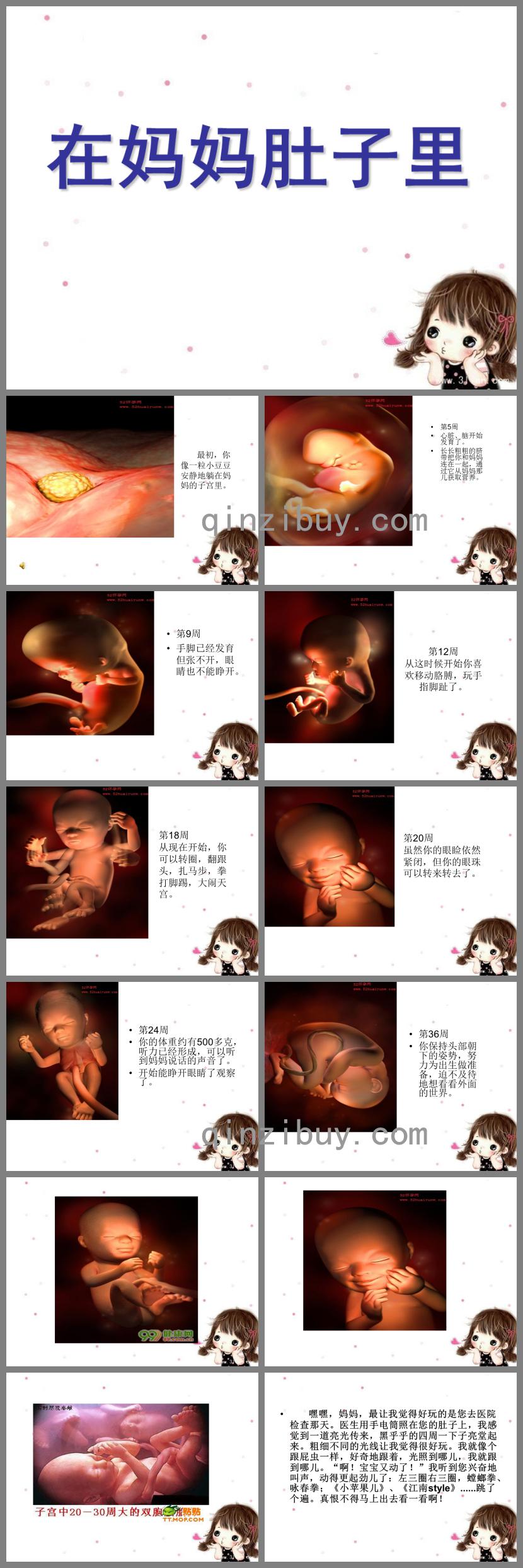 大班健康在媽媽肚子里PPT課件