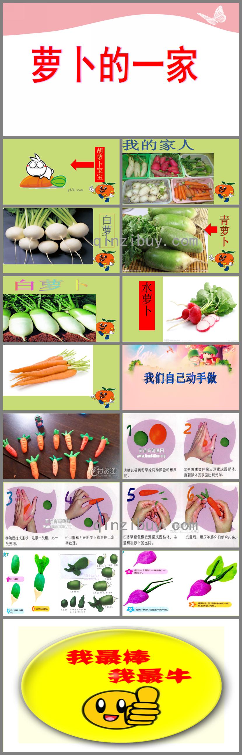 小班科學活動蘿卜一家PPT課件