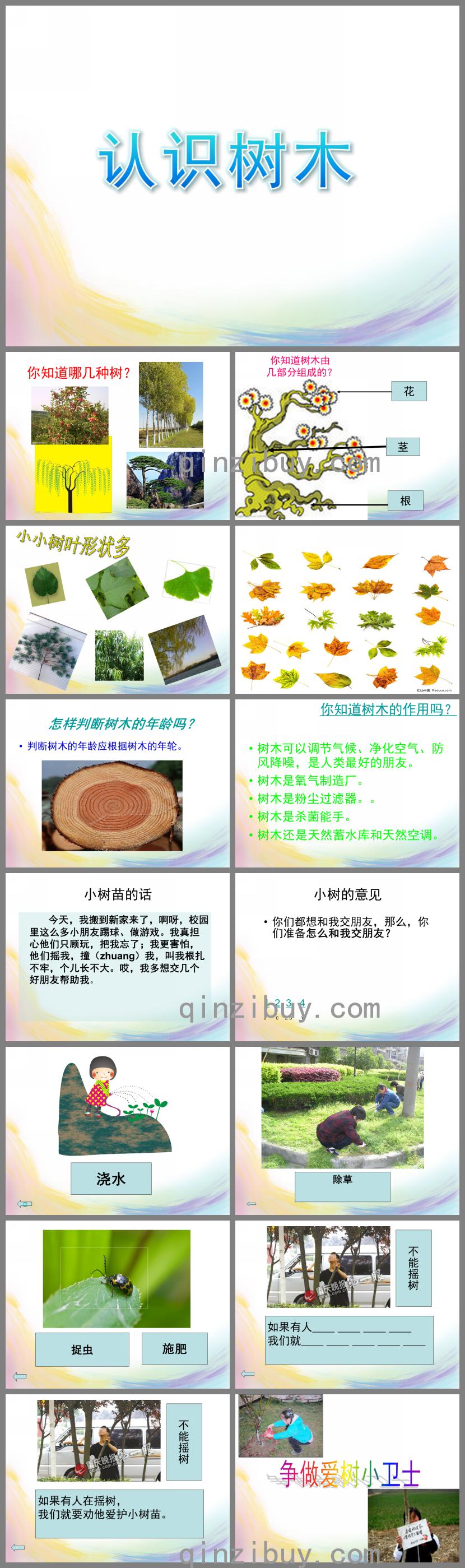 小班科學(xué)認(rèn)識(shí)樹(shù)木PPT課件
