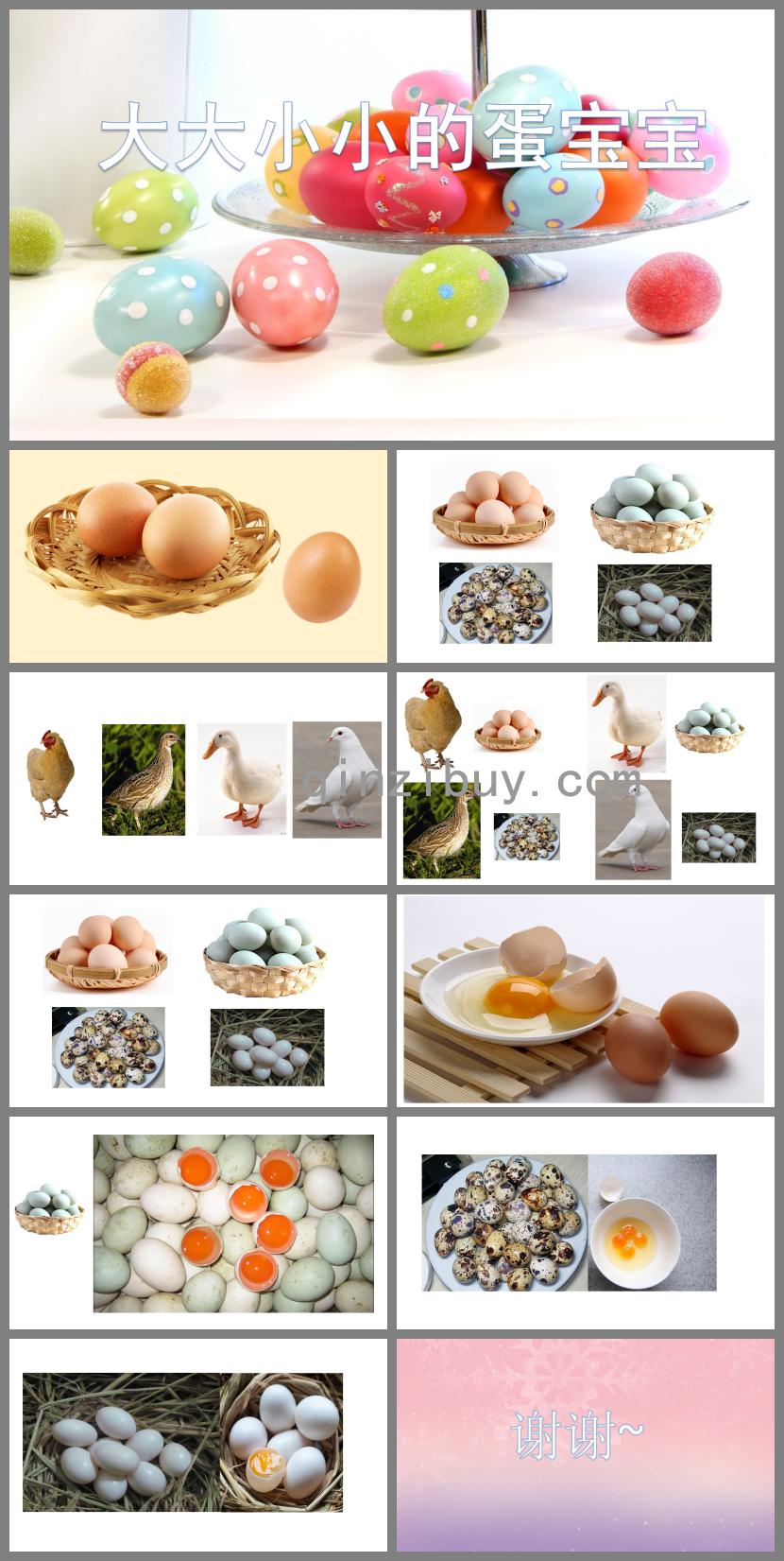 小班科學(xué)優(yōu)質(zhì)課大大小小的蛋寶寶PPT課件