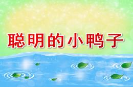 大班故事聰明的小鴨子PPT課件
