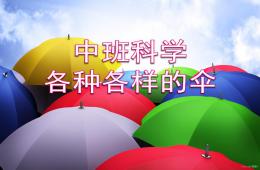 中班科學各種各樣的傘PPT課件