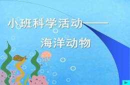 小班科學(xué)活動海洋動物PPT課件