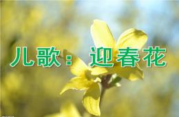 小班兒歌迎春花PPT課件音樂