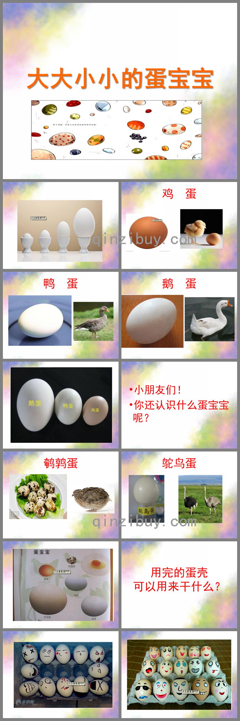 小班科學(xué)活動大大小小的蛋寶寶PPT課件