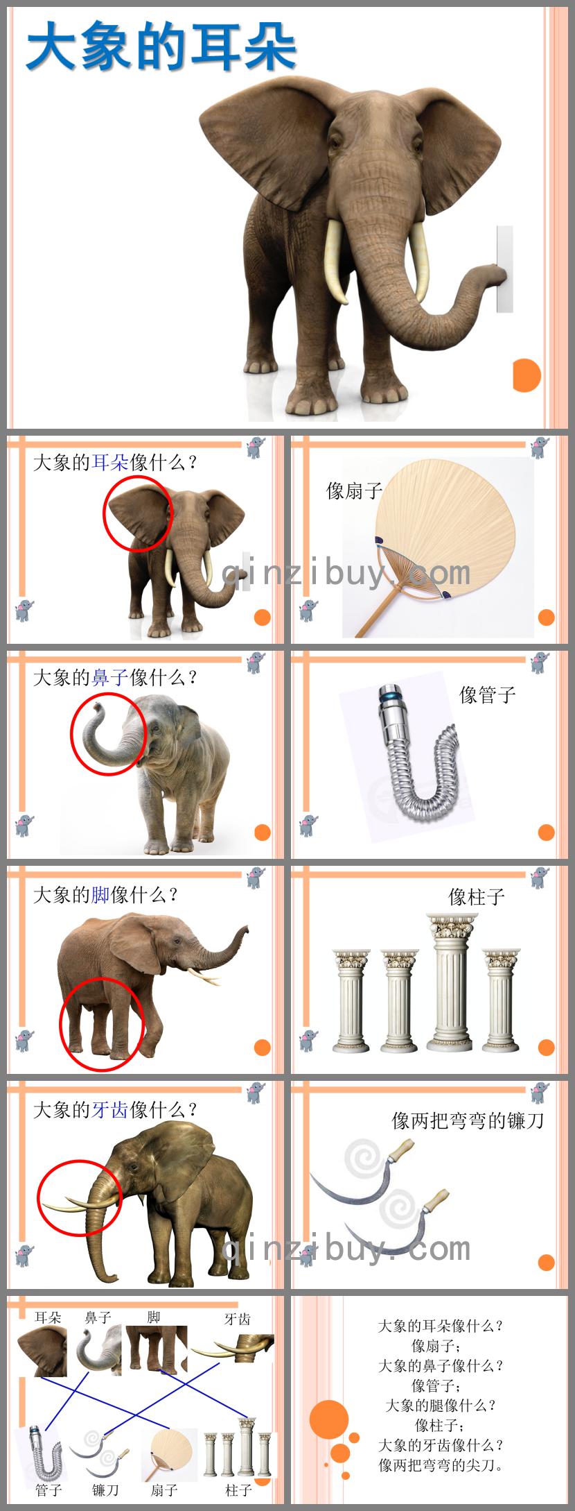 小班語言大象的耳朵PPT課件