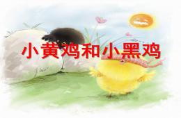 小班語言小黃雞和小黑雞PPT課件
