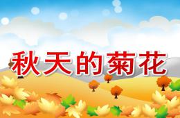 中班科學(xué)秋天的菊花PPT課件