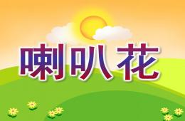 大班音樂喇叭花PPT課件