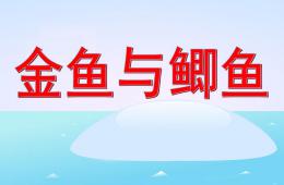 中班自然科學金魚與鯽魚PPT課件