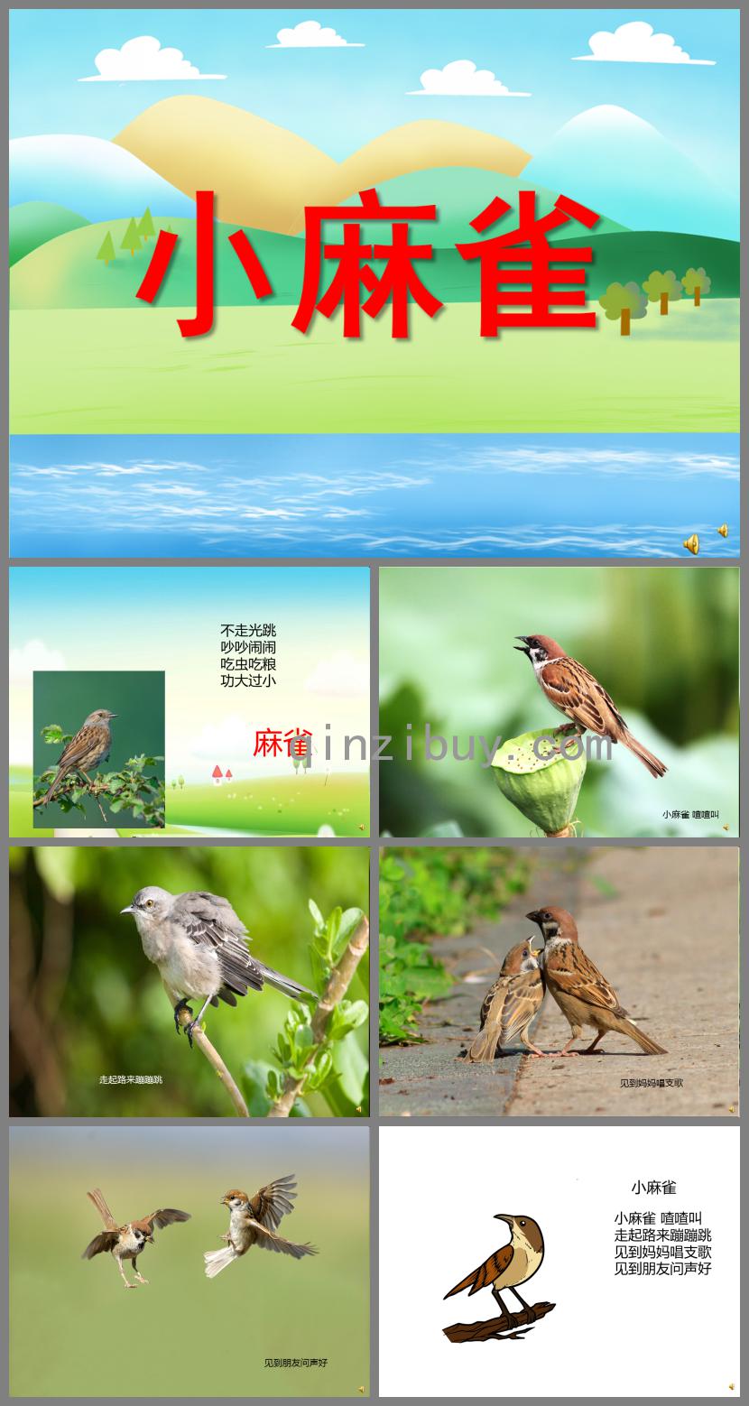 幼兒園動物兒歌小麻雀PPT課件配音音樂