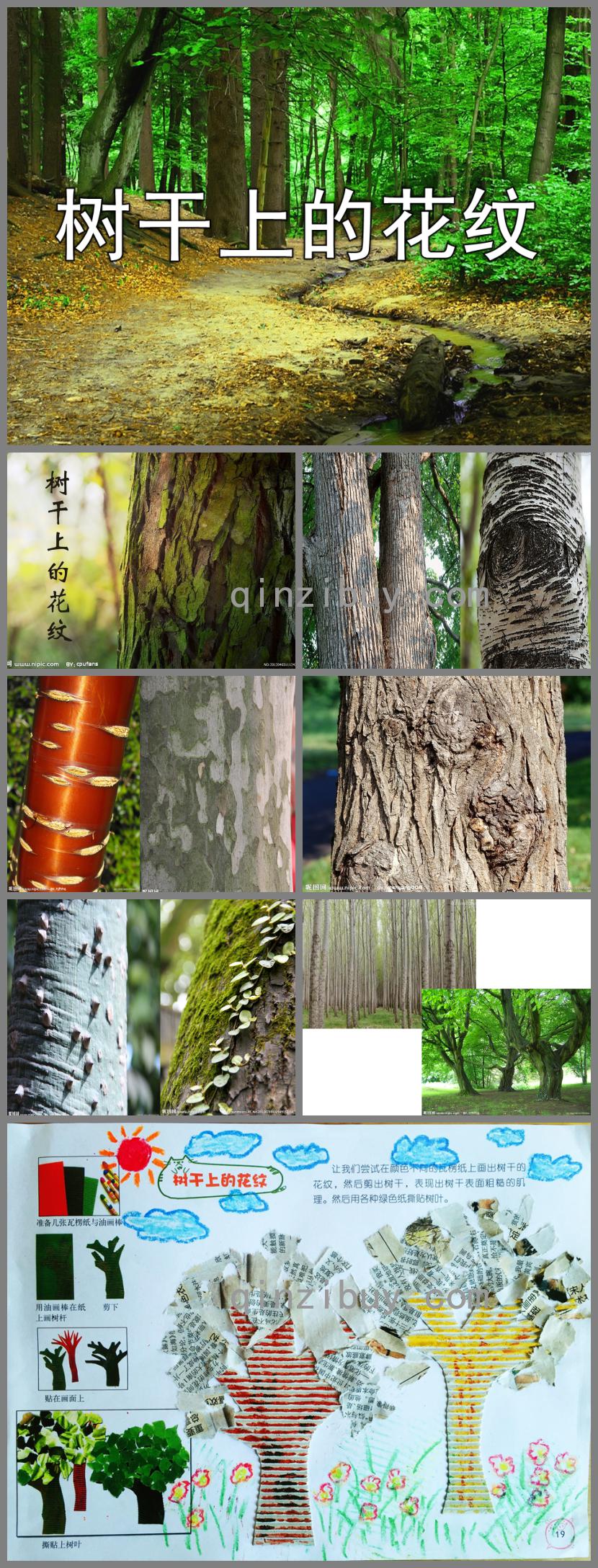 大班美術樹干上的花紋PPT課件