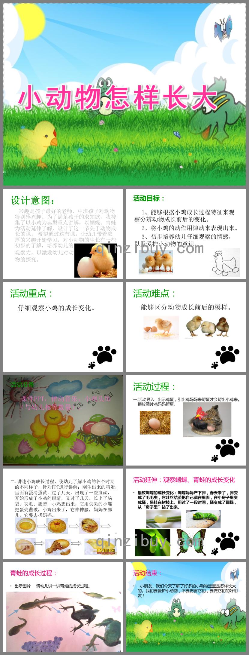 中班科學說課稿小動物怎樣長大PPT課件