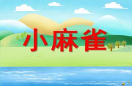 幼兒園動物兒歌小麻雀PPT課件配音音樂