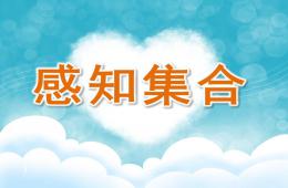 大班數學感知集合PPT課件