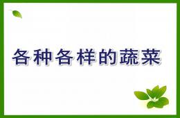 幼兒園科學各種各樣的蔬菜PPT課件