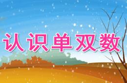 大班數學活動認識單雙數PPT課件