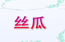 大班美術絲瓜PPT課件