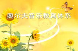 幼兒園奧爾夫音樂(lè)教育體系PPT課件