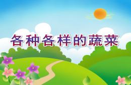 幼兒園科學認知活動各種各樣的蔬菜PPT課件