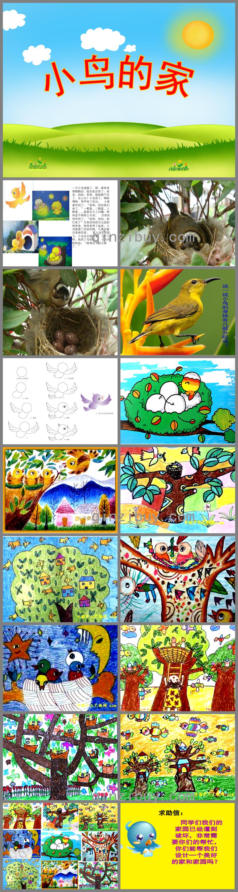 幼兒園故事小鳥的家PPT課件