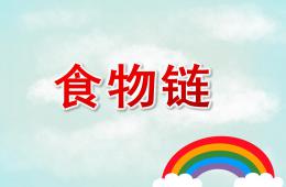 大班科學活動食物鏈PPT課件
