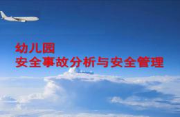 幼兒園安全事故分析與安全管理PPT課件