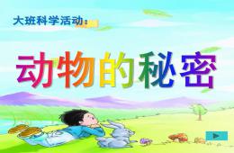 大班科學(xué)活動(dòng)動(dòng)物的秘密PPT課件