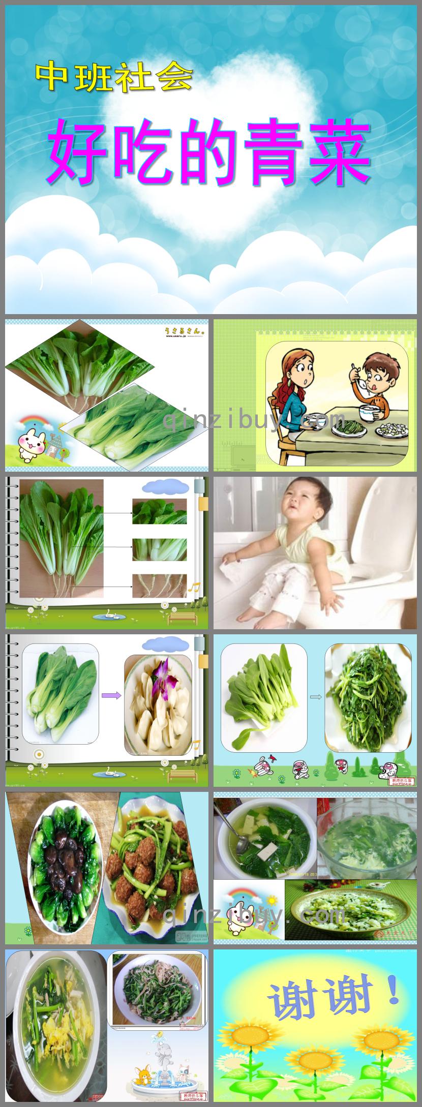 中班社會(huì)好吃的青菜PPT課件