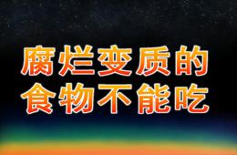 幼兒園說課腐爛變質(zhì)的食物不能吃PPT課件