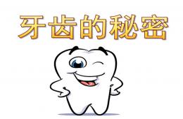 大班牙齒的秘密PPT課件