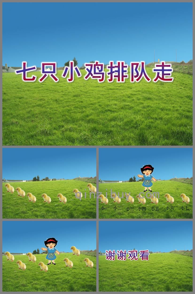 中班語言七只小雞排隊走PPT課件