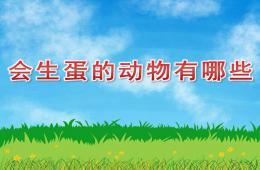 中班科學(xué)會生蛋的動物有哪些PPT課件