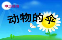 中班語言小動物的傘PPT課件